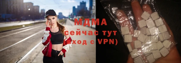 индика Краснотурьинск