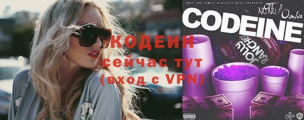 индика Краснотурьинск