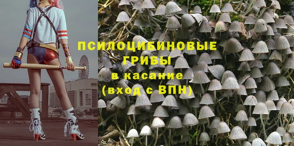 сатива Лагань