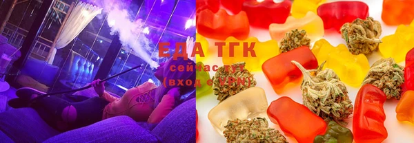 индика Краснотурьинск