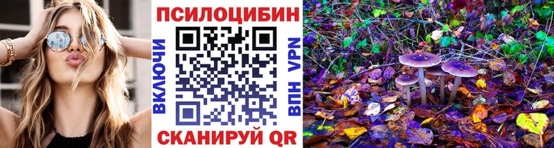 Псилоцибиновые грибы мицелий  Нытва 